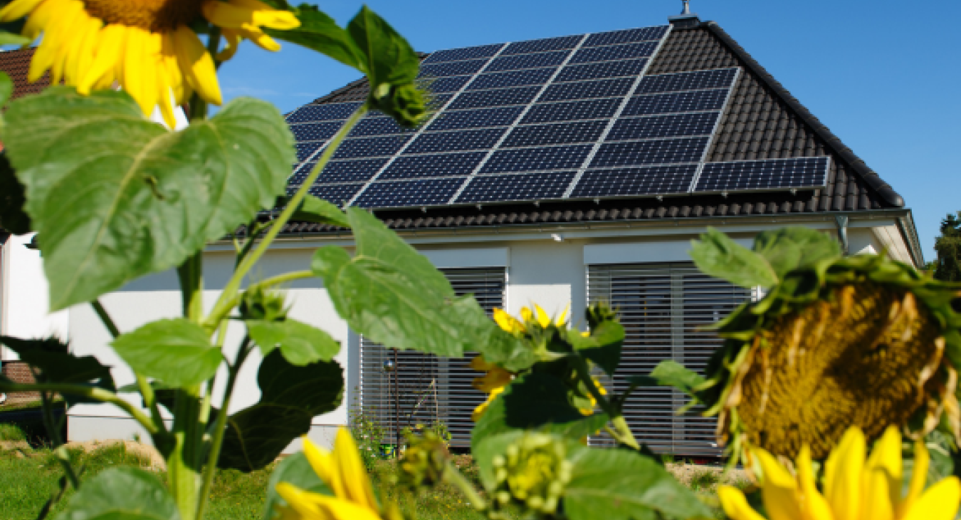 Solar Panels & Battery Storage