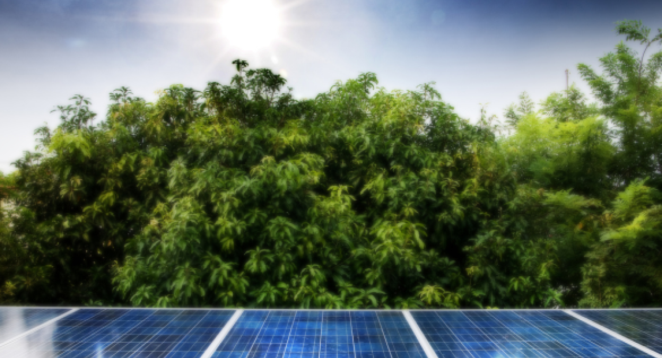 Solar Panels & Battery Storage